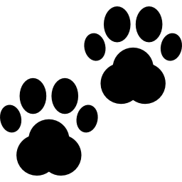 dog-1.png
